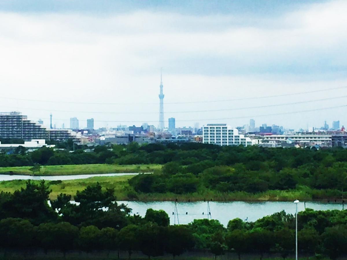 Nice Inn Hotel Ichikawa Tokyo Bay Urayasu المظهر الخارجي الصورة